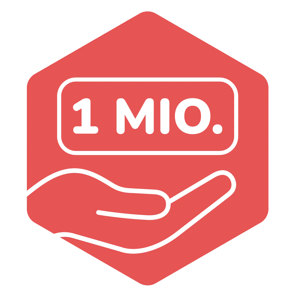 05 icon sofortmillionen 1000x1000